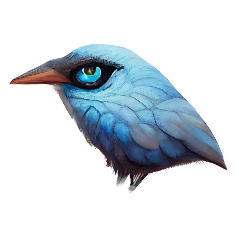 Blue Bird with Blue Eyes