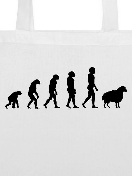 Darwin-Schafe