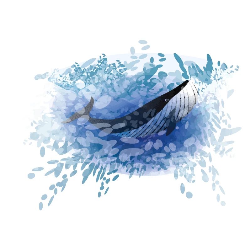 Whale VI PIX