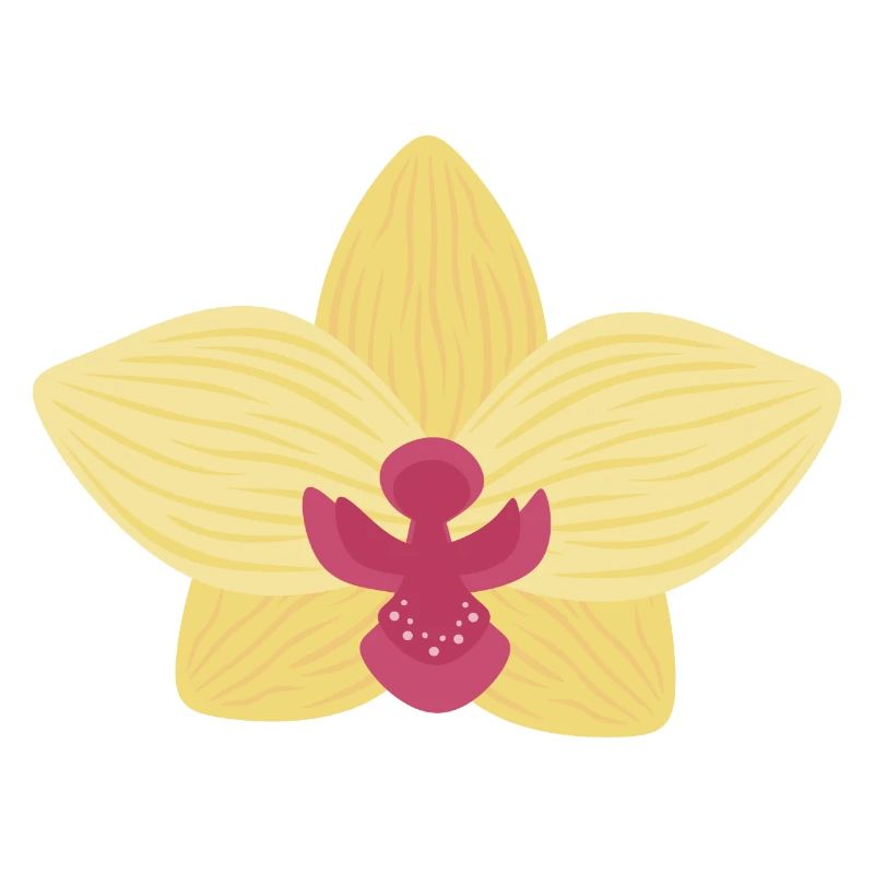 Gelbe Orchidee