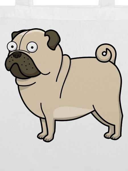 Derp Pug