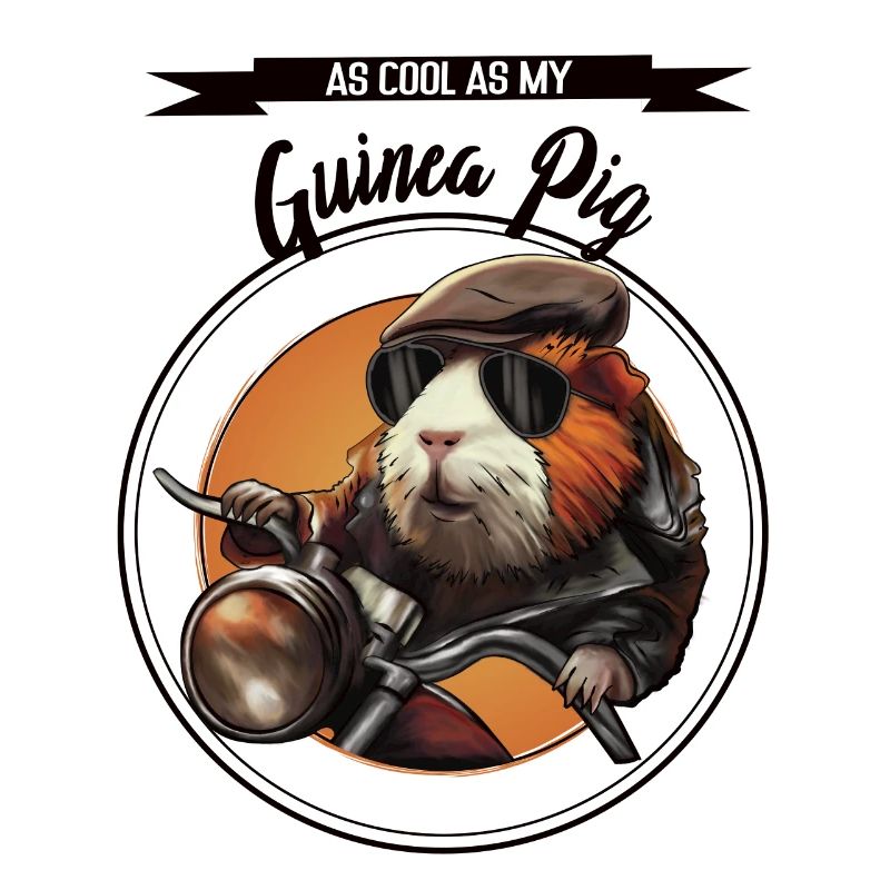 Cool guinea pig – statement design
