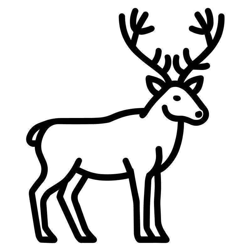 caribou