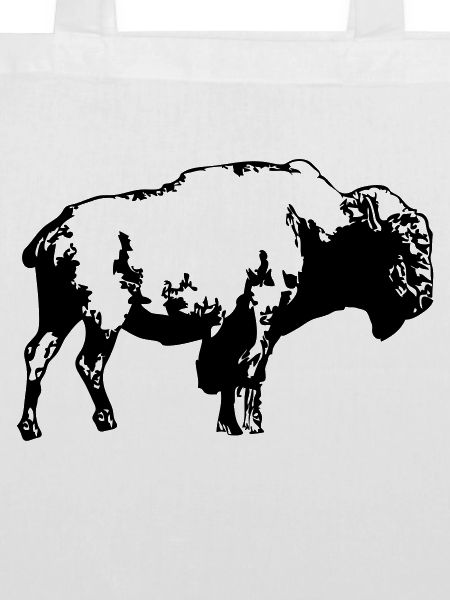 Buffalo - Bull