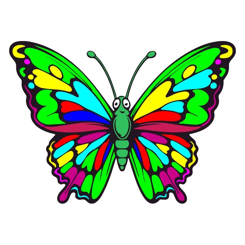butterfly