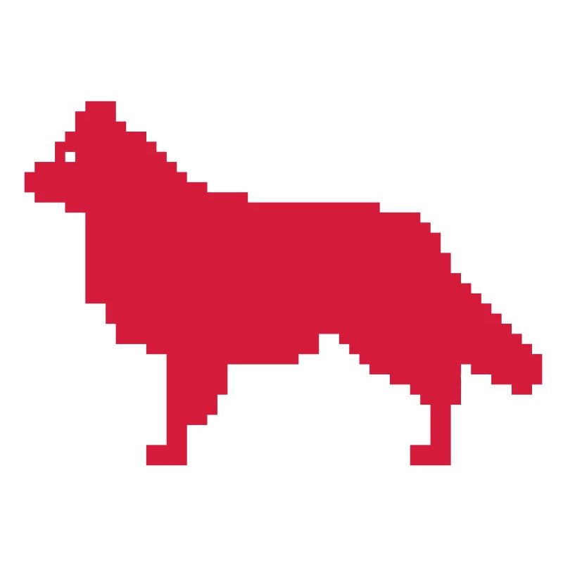 Australian Shepherd mit Rute, trad. Norweger Style