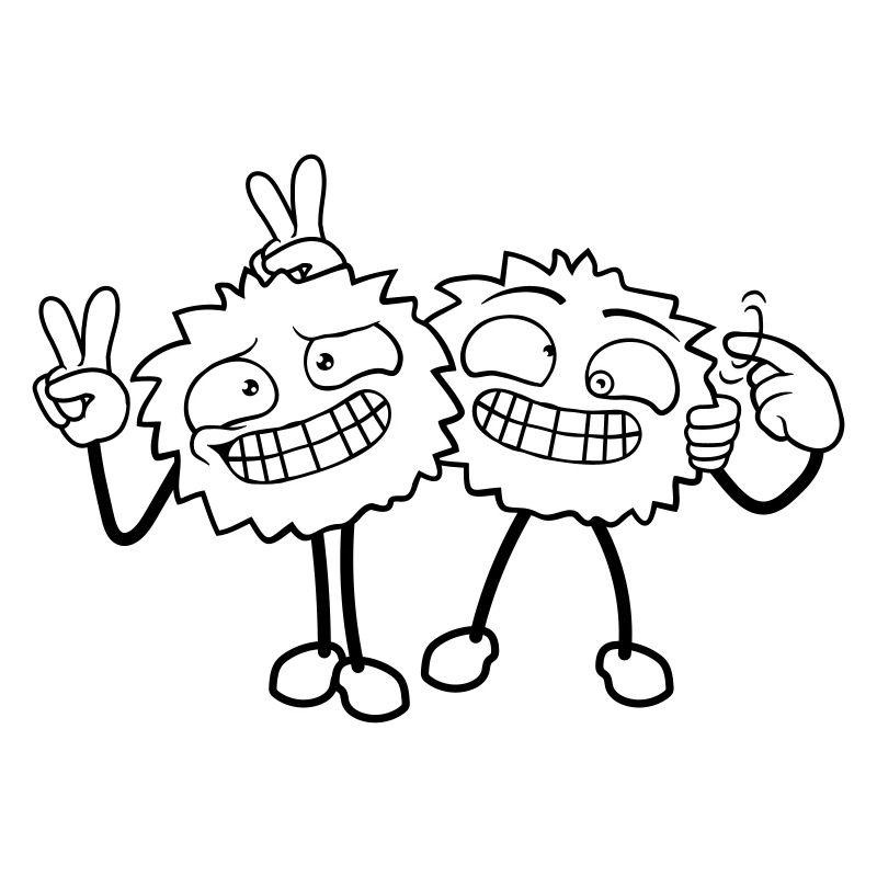 2 Verrückte Freunde