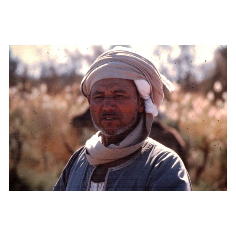 Retro Egypt Man