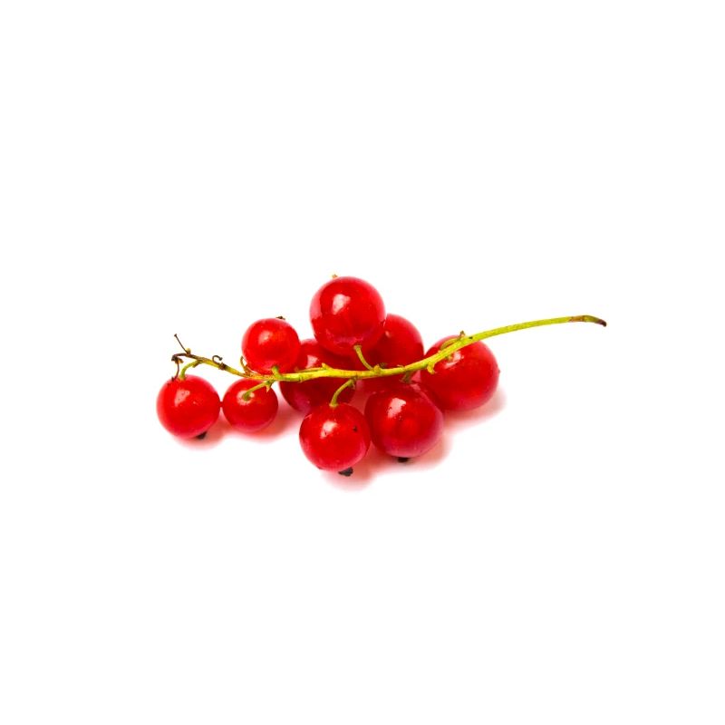 groseille rouge