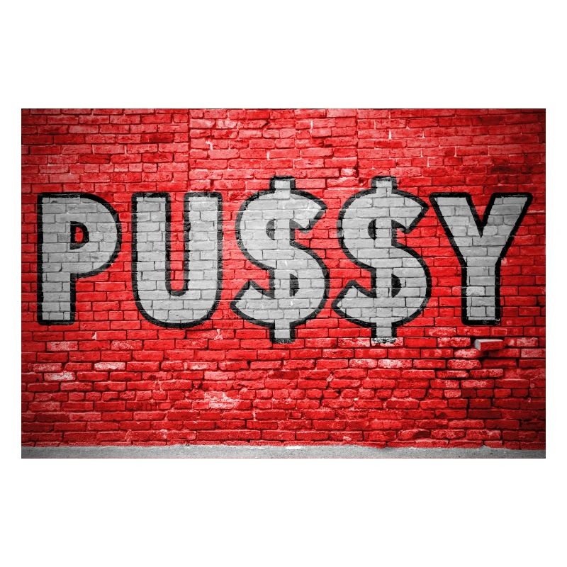 Pussy with Dollar Signs $ Brick Wall Graffit
