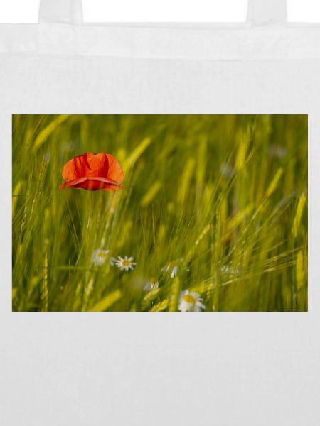 Mohnblume im Kornfeld