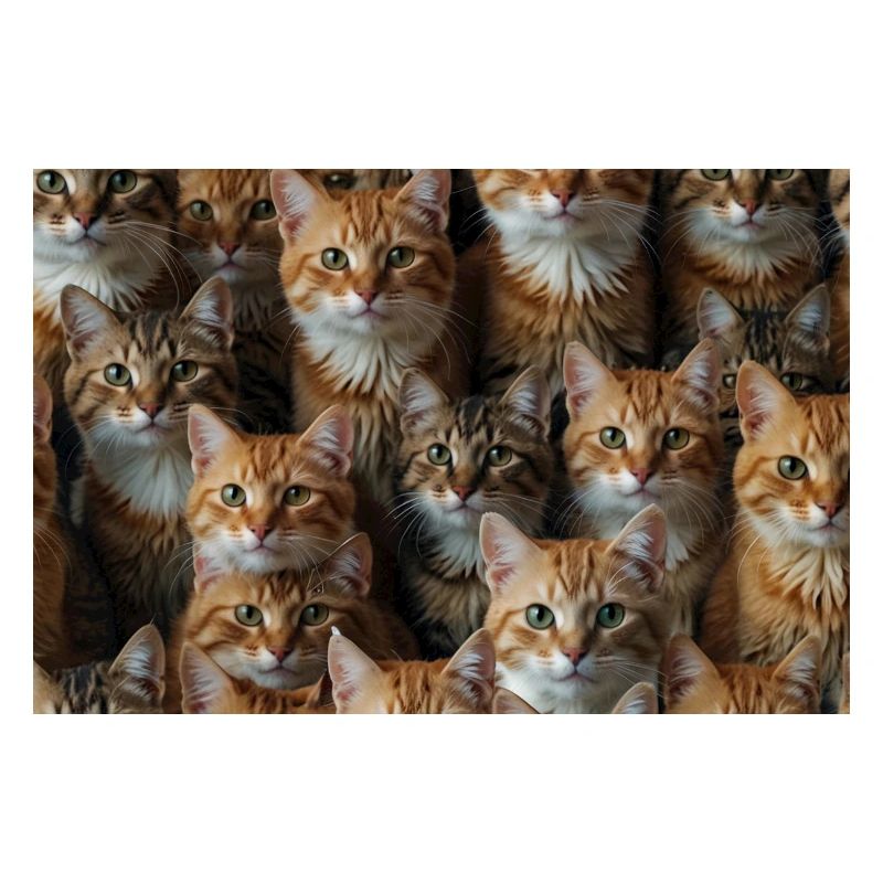 Happy Cats with smiling face
