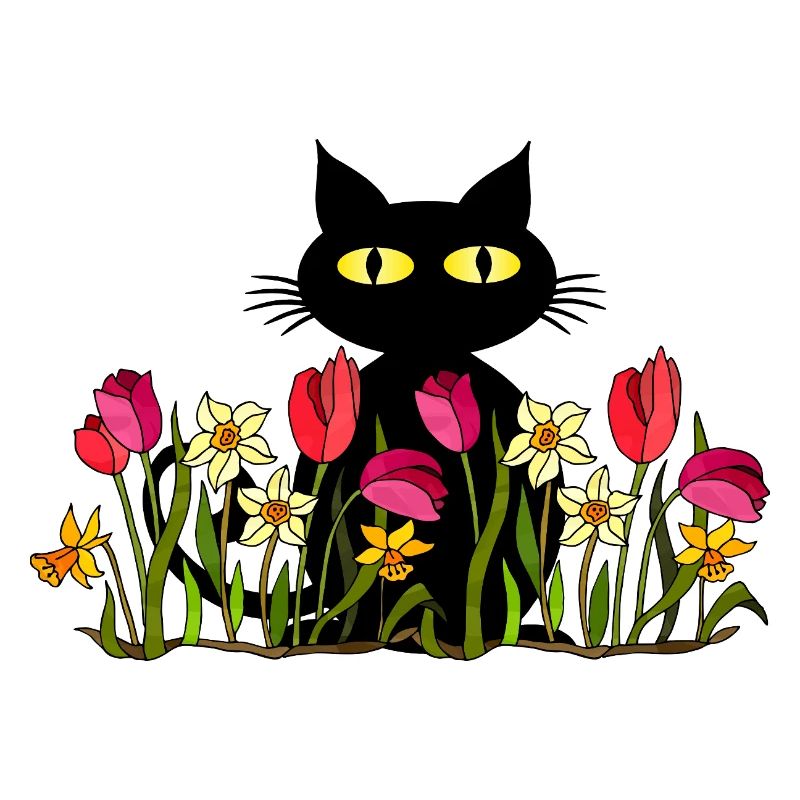 Katze