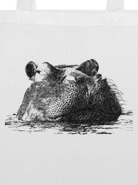hippo