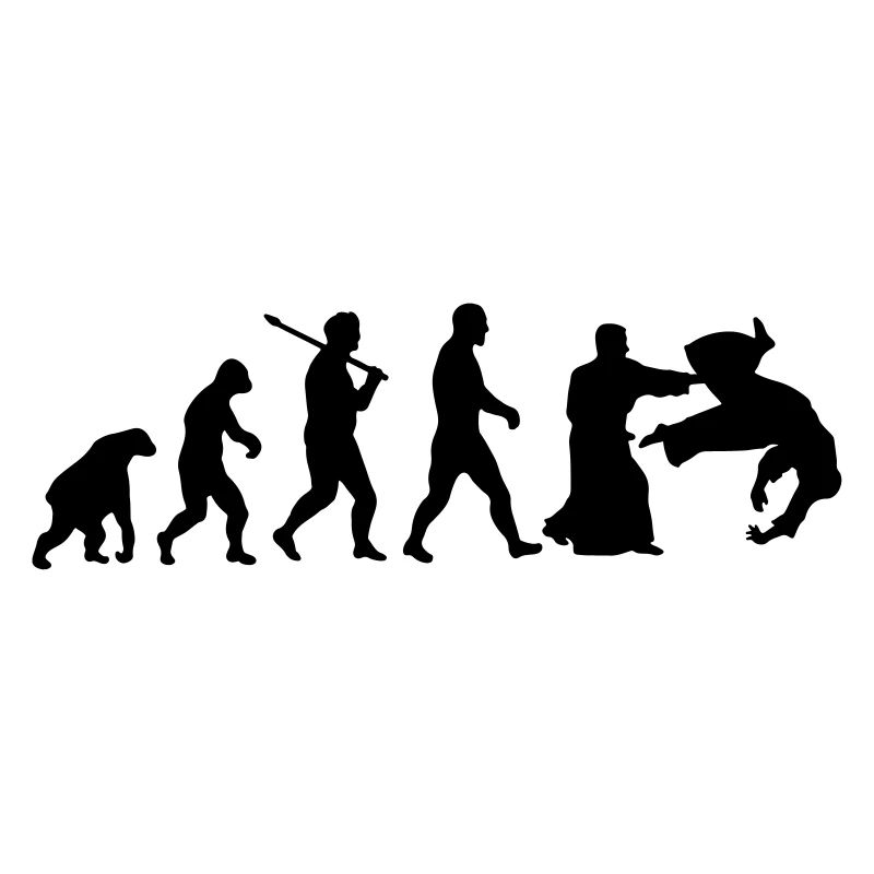 Evolution: Aïkido