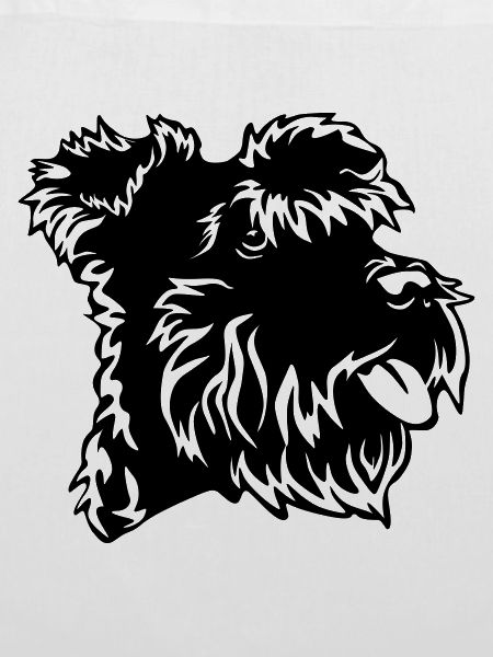 Zwergschnauzer Kopf