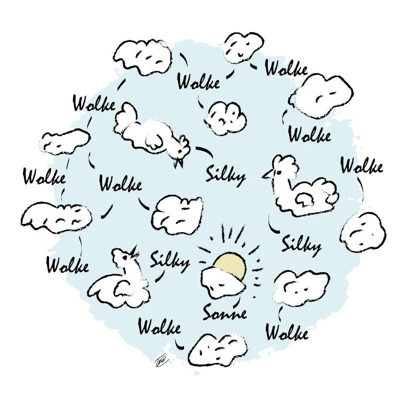 Silk Cloud