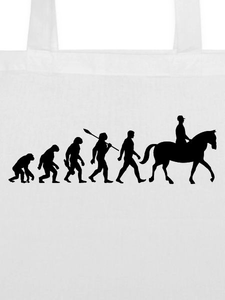 Evolution Reiten - Pferde - Dressur