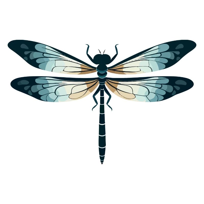 Libelle