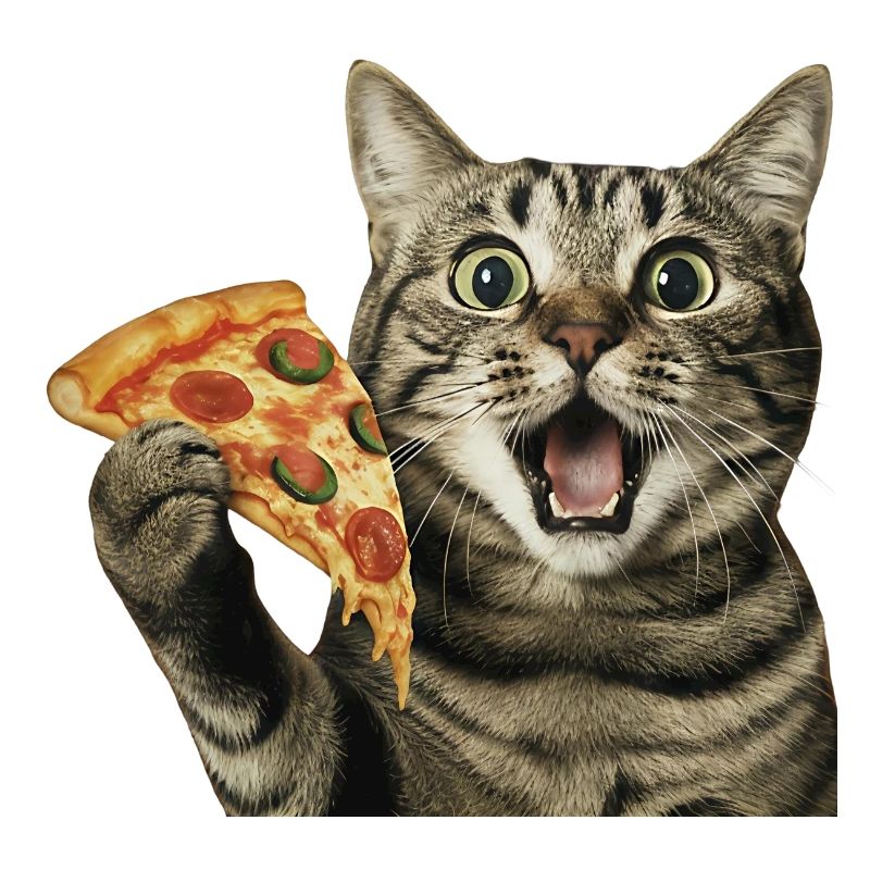 Pizza-Katze