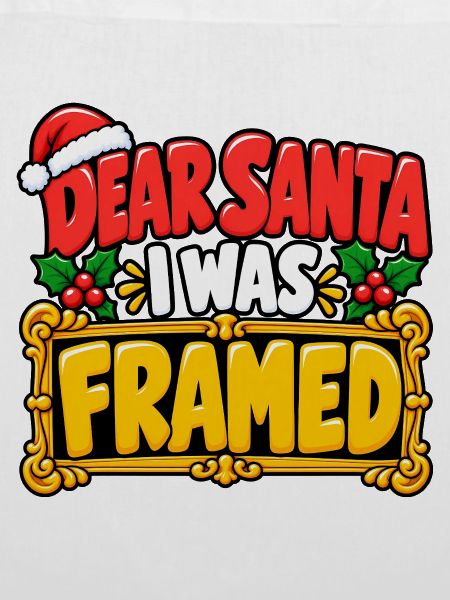 Dear Santa I Was Framed