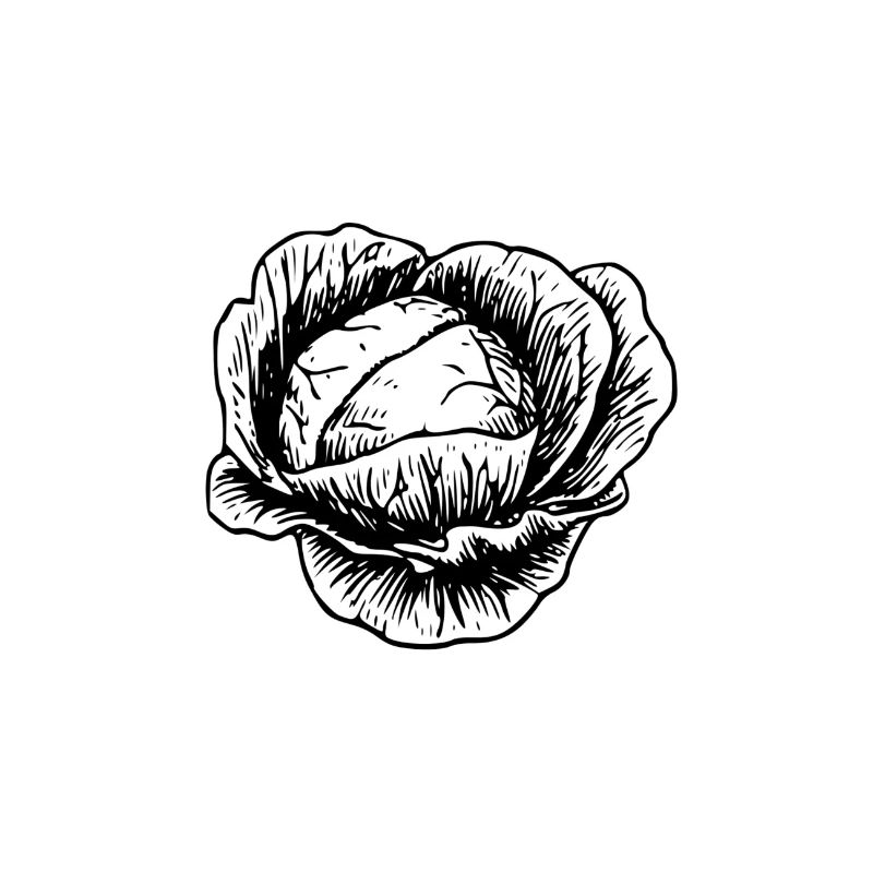 A cabbage! gift idea