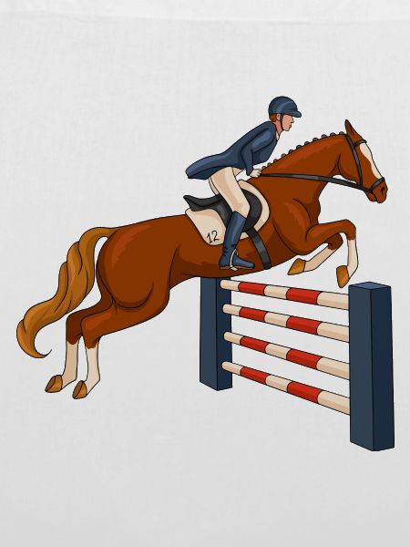 Pferd, Reiter, Reiten