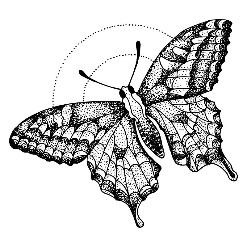 Nachtschmetterling