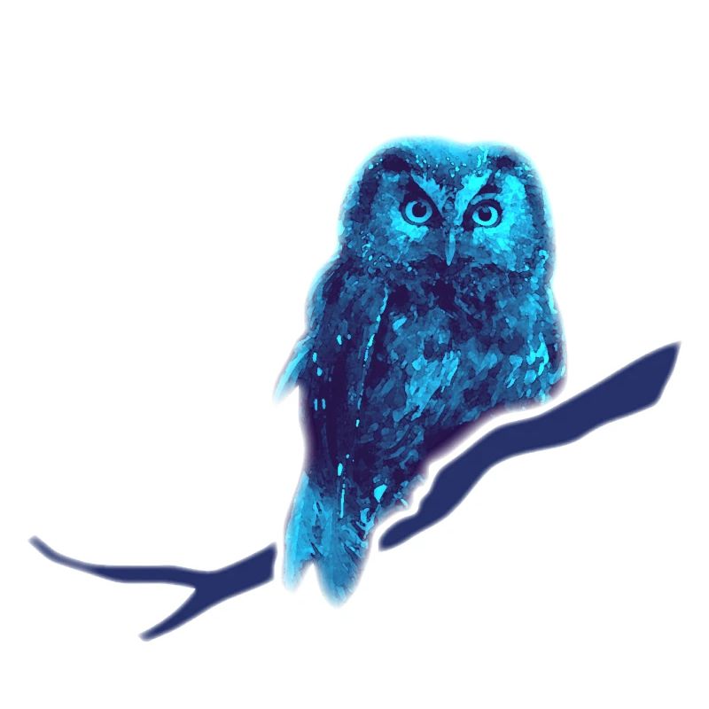 Eule kauz Uhu blau