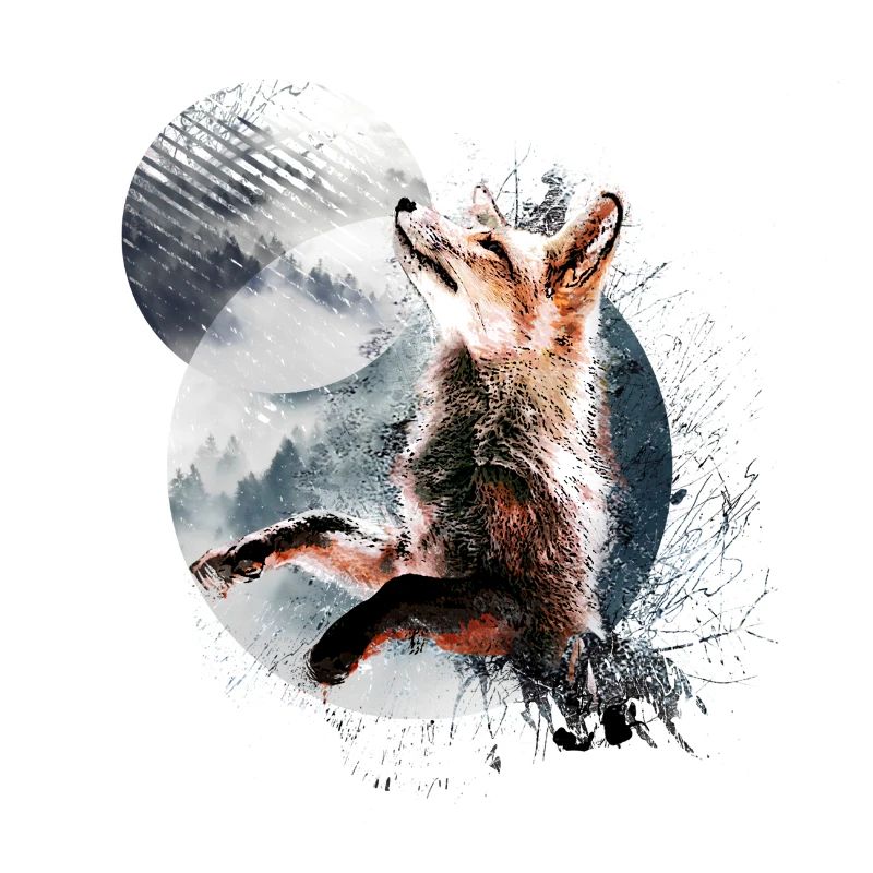 Fuchs im Mondschein