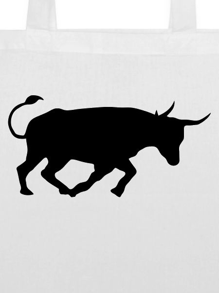 kampfstier andalusien spanischer baskischer stier