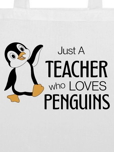 Just a Teacher