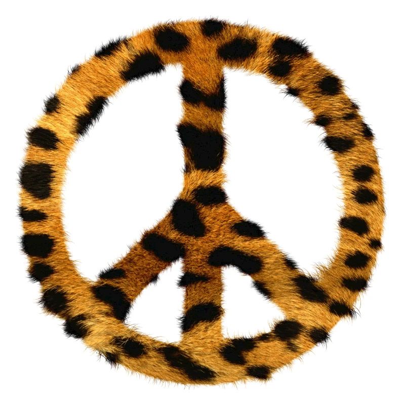 Peace my love