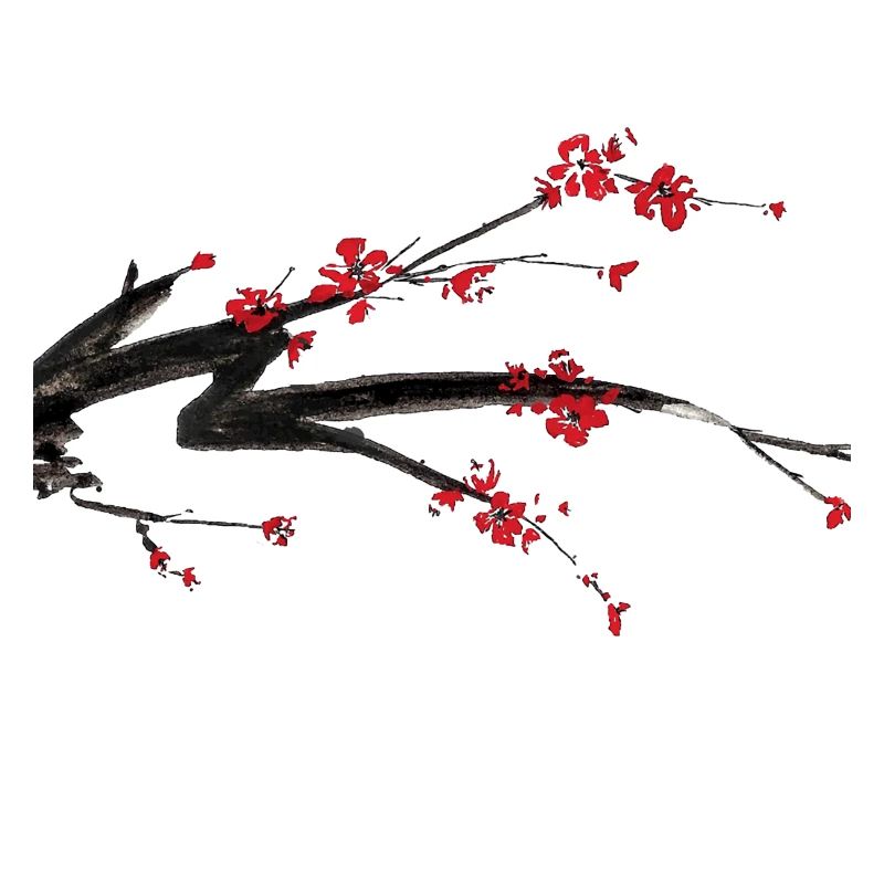 Sakura Kirschblüten