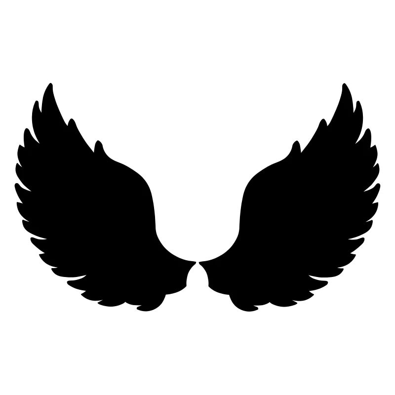 Flügel Angel Eagle