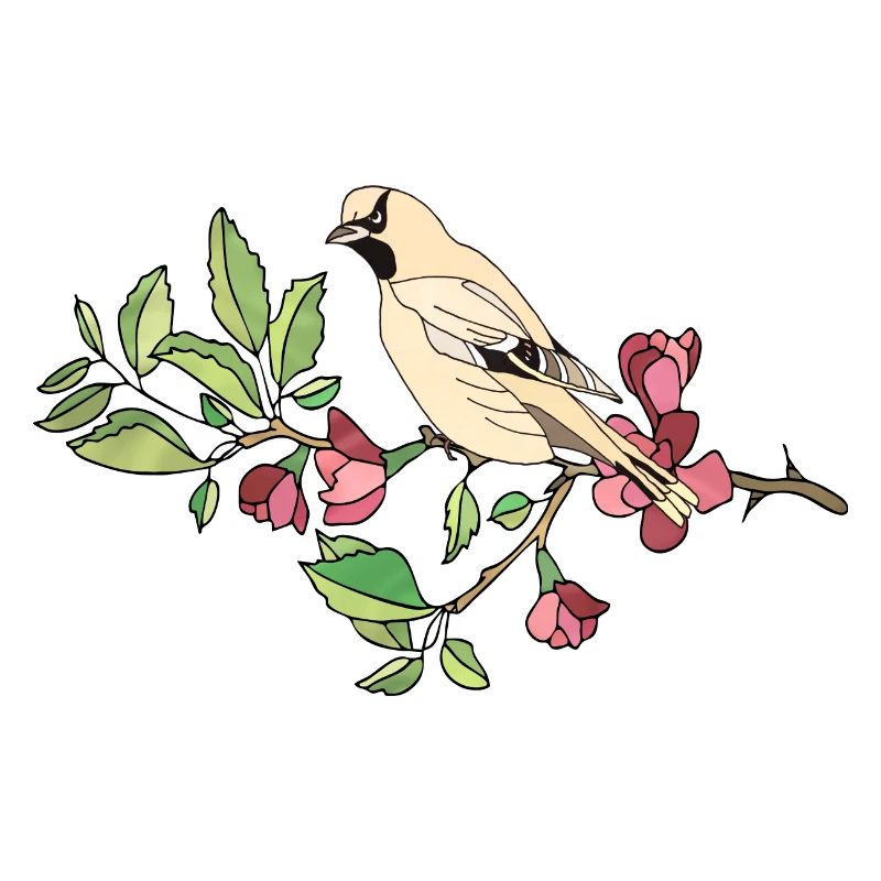 Vogel