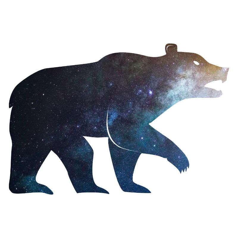 Bear Starlight