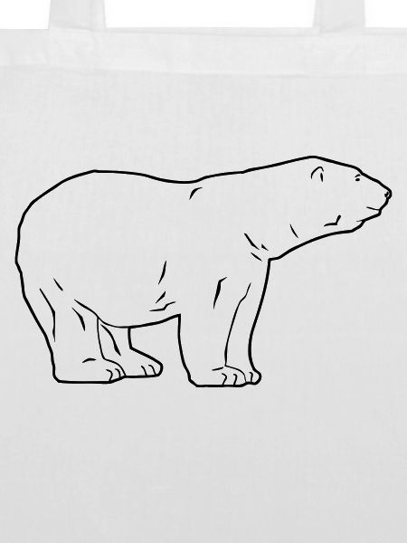 Polar Bear - Eisbär