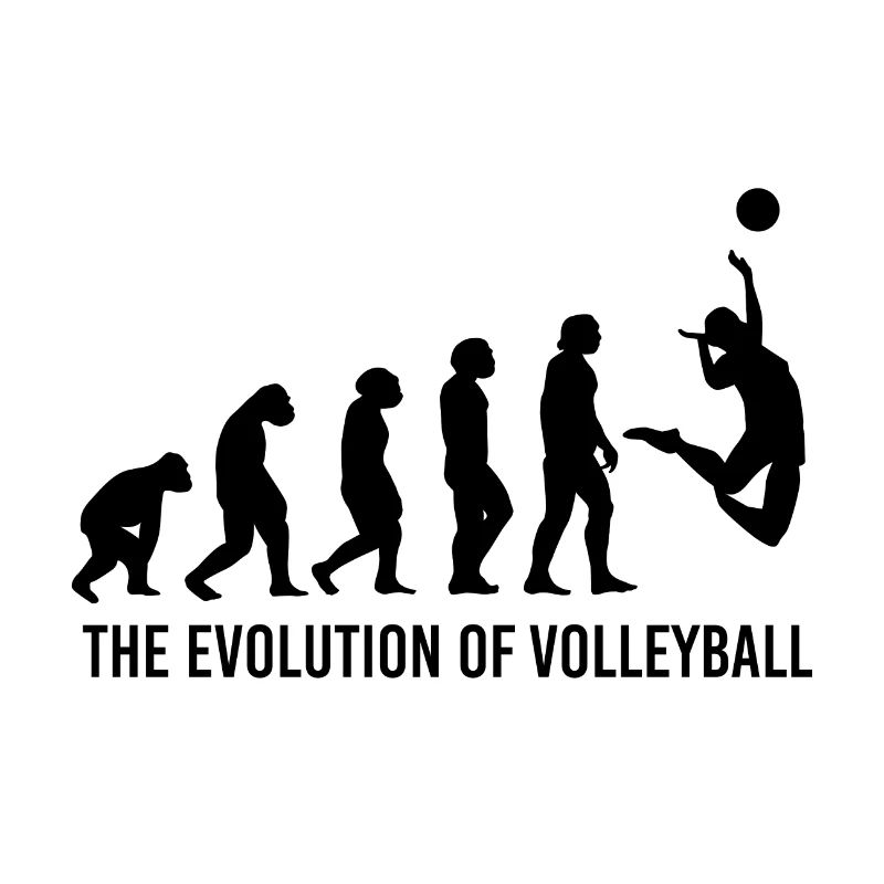 Volleyball Evolution Volleyballer Trainer Coach