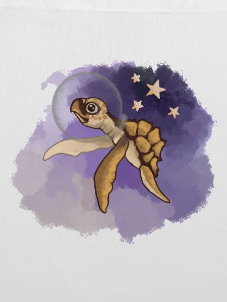 Cosmic Sea Turtle Explorer