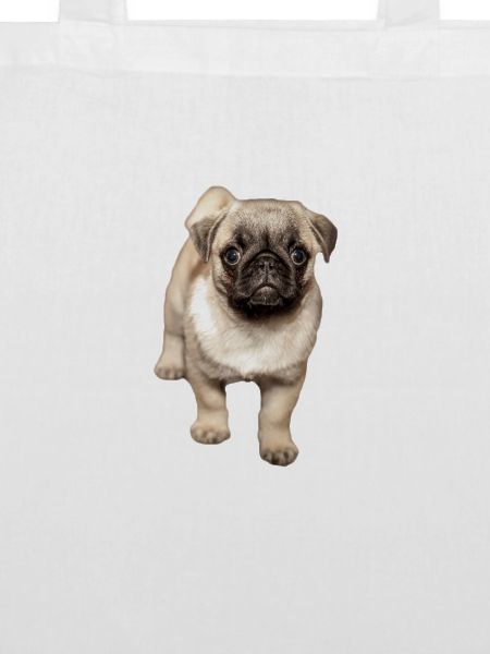 sweet squinting pug