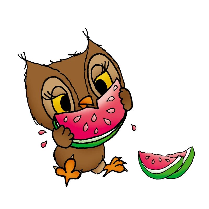 Eule Wassermelone