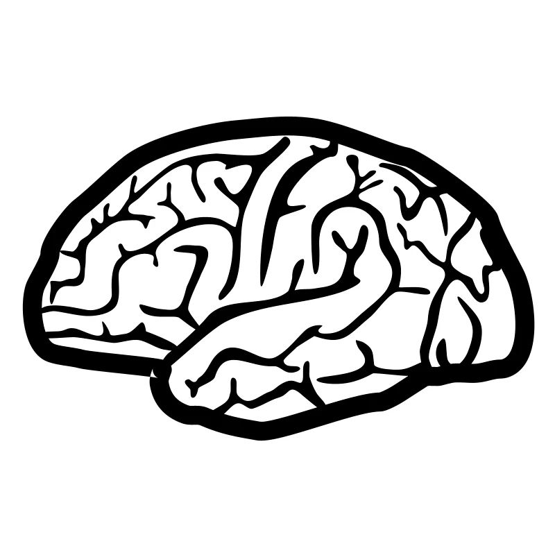 Brain, Brains