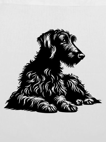 Scottish Deerhound