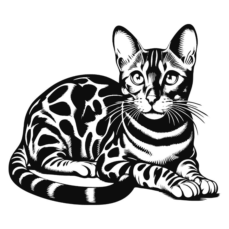 Conception de chat Bengal - sauvage, belle et unique