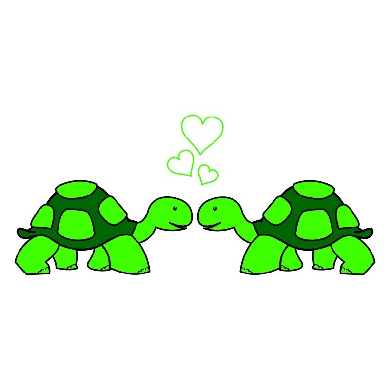 turtle love