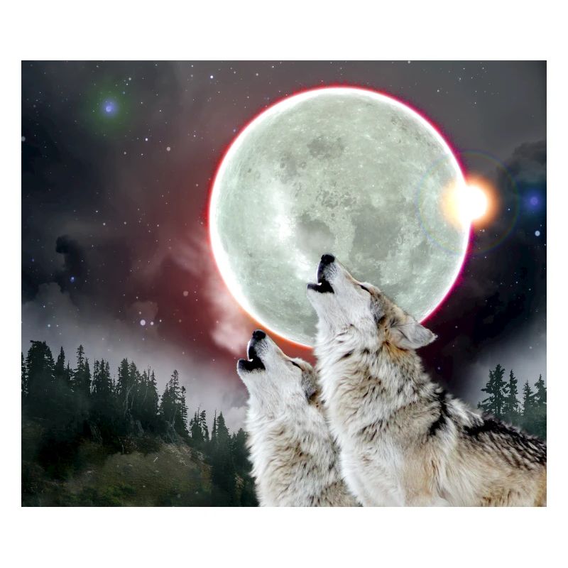Wolves Howling Moon Eclipse Wolf Art