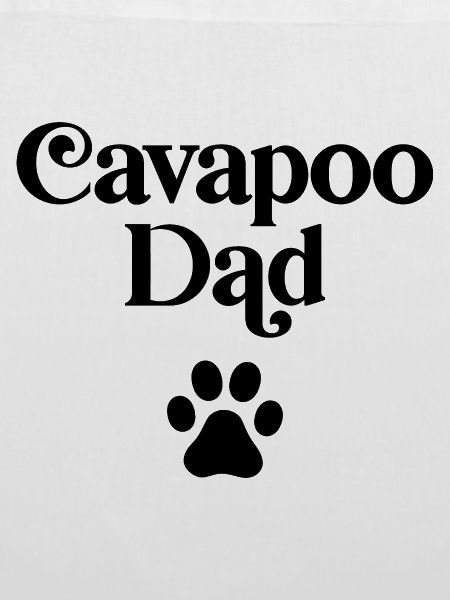 Cavapoo Dad