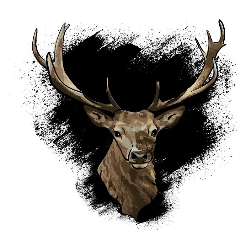 Hirsch