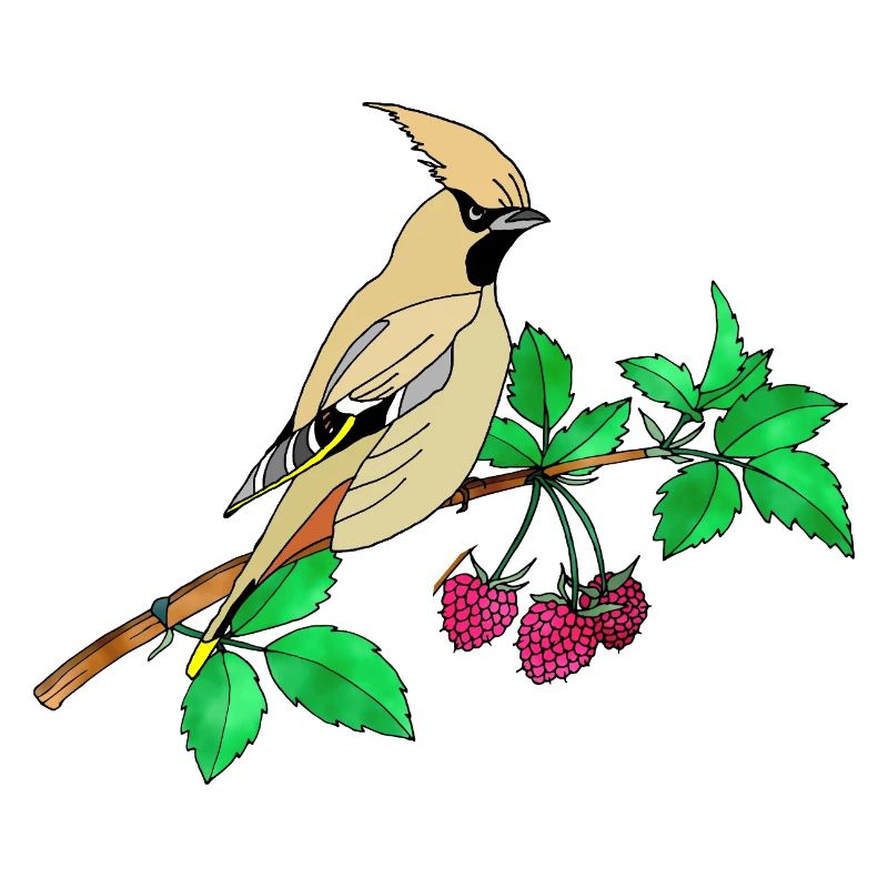 Bunter Vogel